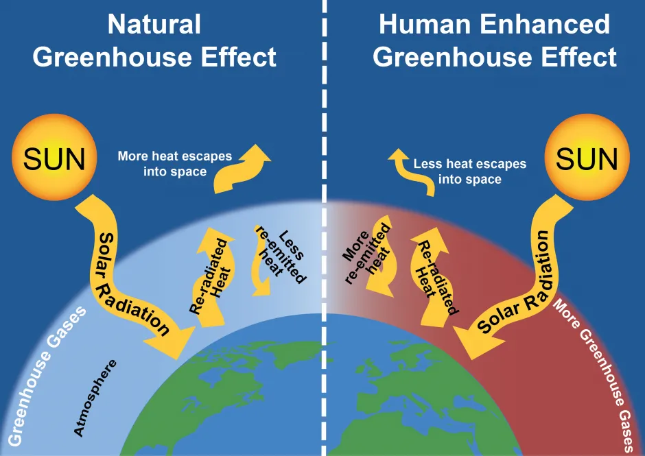 The Earth’s Greenhouse Effect